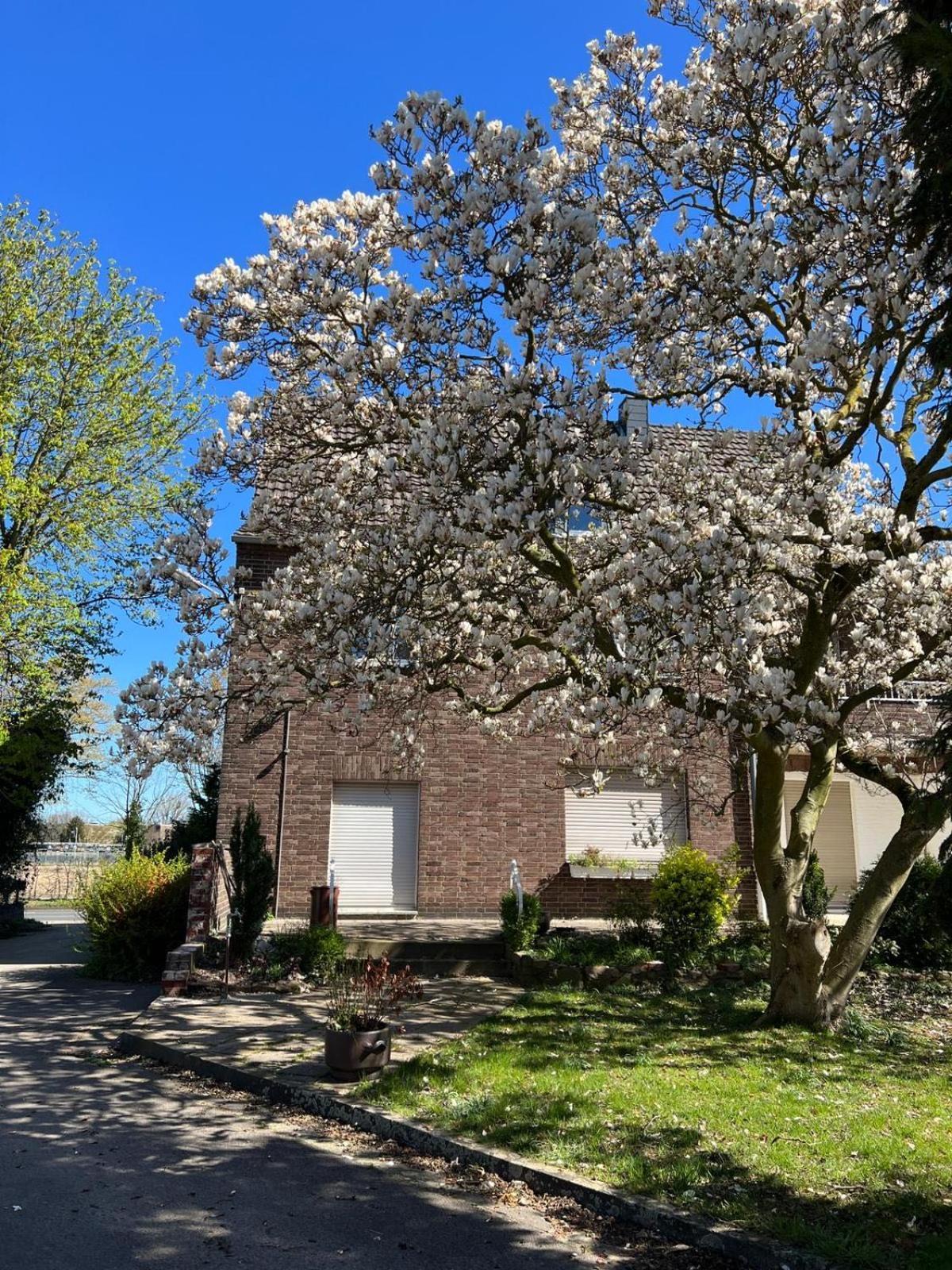 Haus Neuss-1.Og Apartment Exterior photo